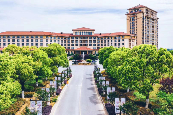 巢湖远洲豪廷大酒店(图1)